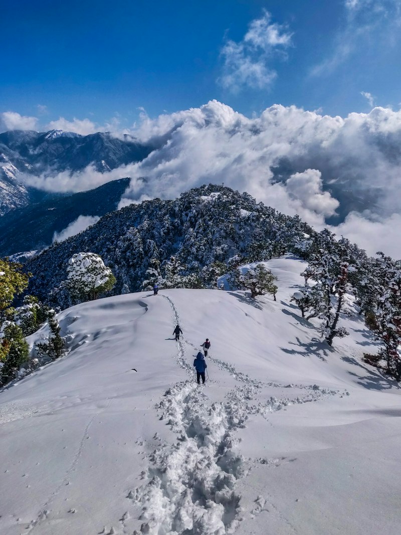 Manali Dalhousie Chandigarh